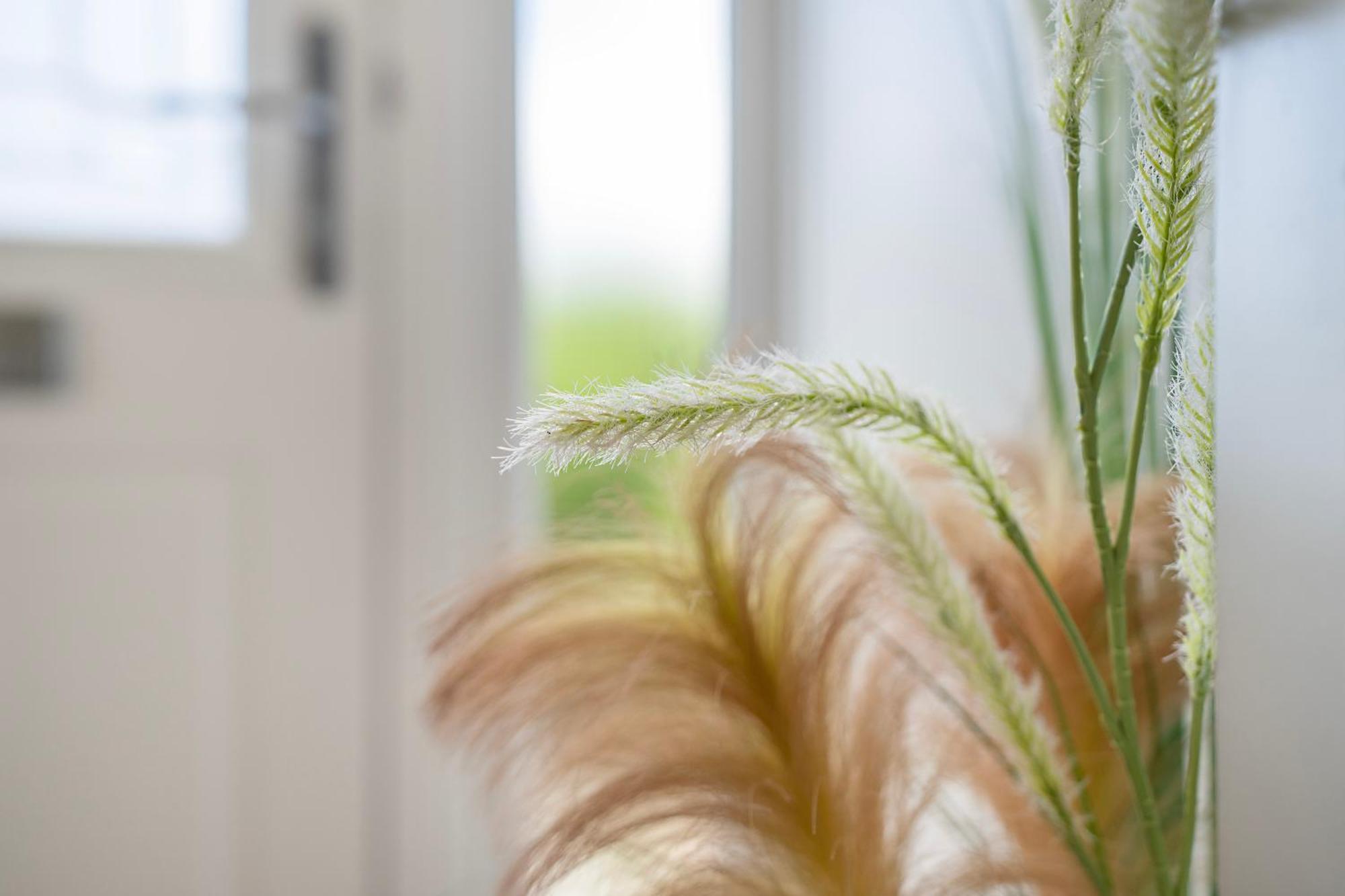 Hébergement de vacances Duthie Park House - Grampian Lettings Ltd